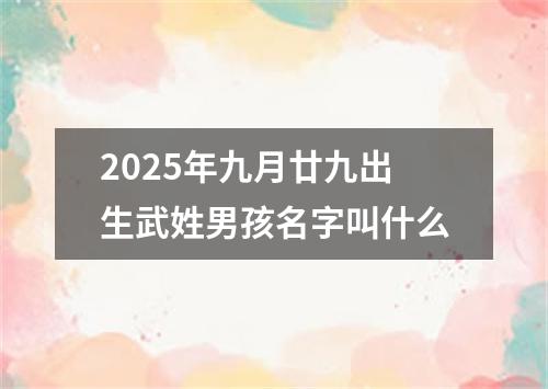 2025年九月廿九出生武姓男孩名字叫什么