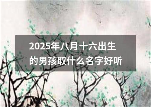 2025年八月十六出生的男孩取什么名字好听