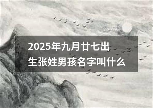 2025年九月廿七出生张姓男孩名字叫什么