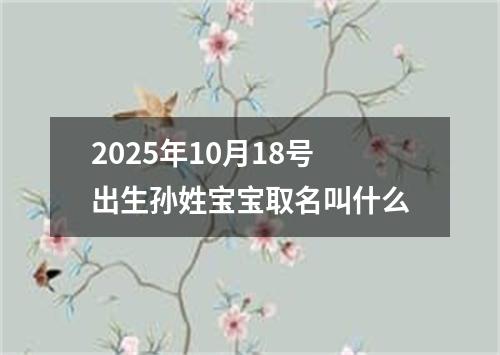 2025年10月18号出生孙姓宝宝取名叫什么
