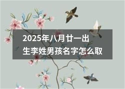 2025年八月廿一出生李姓男孩名字怎么取