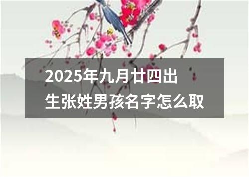 2025年九月廿四出生张姓男孩名字怎么取