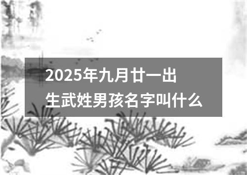 2025年九月廿一出生武姓男孩名字叫什么