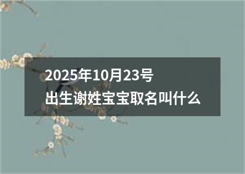 2025年10月23号出生谢姓宝宝取名叫什么