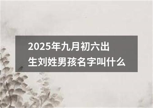 2025年九月初六出生刘姓男孩名字叫什么