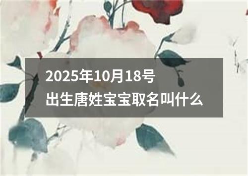 2025年10月18号出生唐姓宝宝取名叫什么