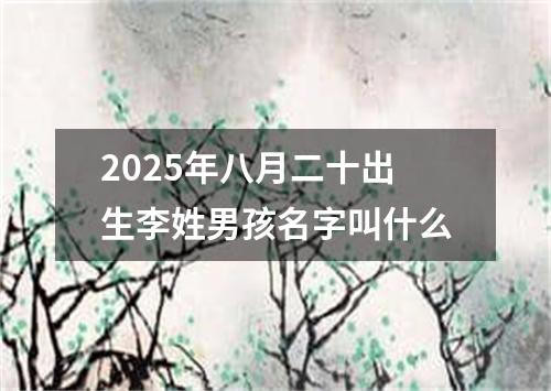2025年八月二十出生李姓男孩名字叫什么
