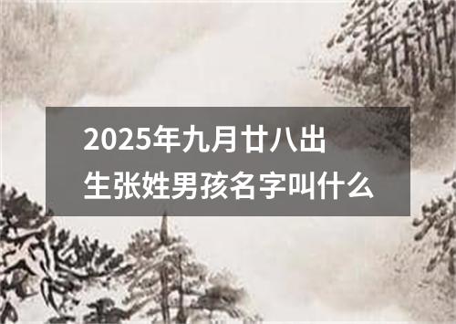 2025年九月廿八出生张姓男孩名字叫什么