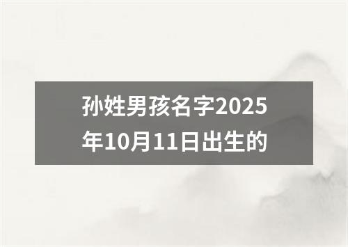 孙姓男孩名字2025年10月11日出生的