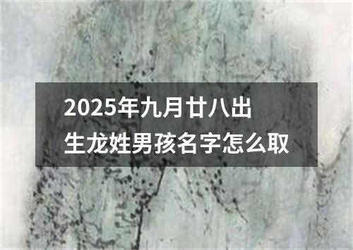 2025年九月廿八出生龙姓男孩名字怎么取