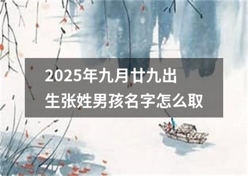 2025年九月廿九出生张姓男孩名字怎么取