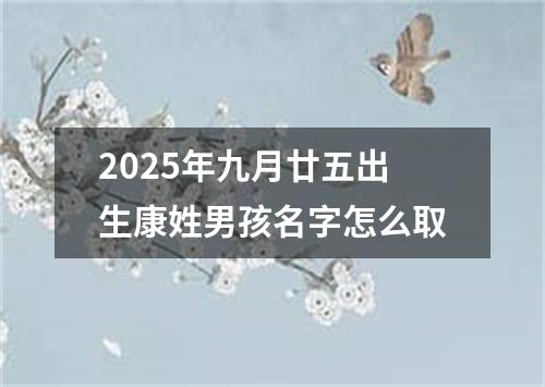 2025年九月廿五出生康姓男孩名字怎么取