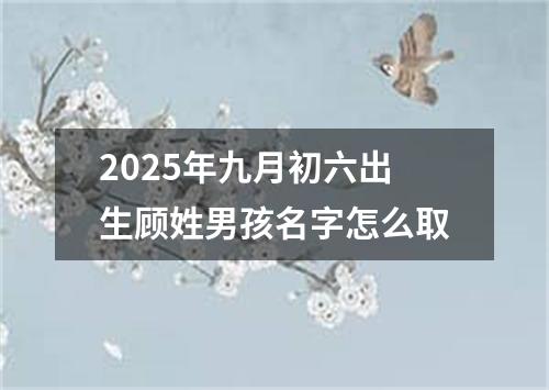 2025年九月初六出生顾姓男孩名字怎么取