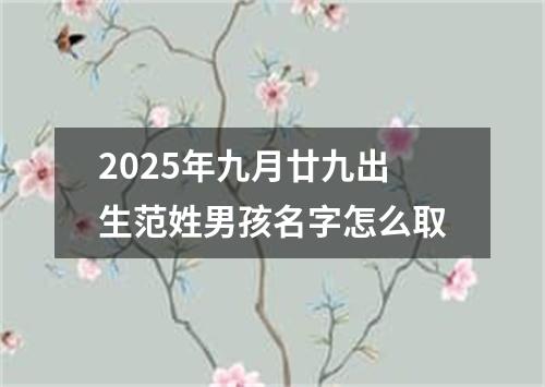 2025年九月廿九出生范姓男孩名字怎么取