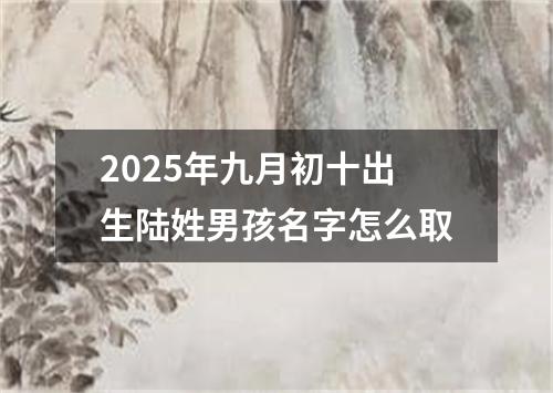 2025年九月初十出生陆姓男孩名字怎么取