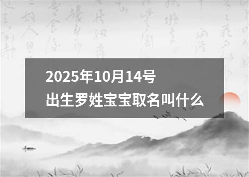 2025年10月14号出生罗姓宝宝取名叫什么