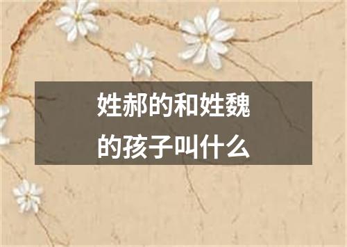 姓郝的和姓魏的孩子叫什么