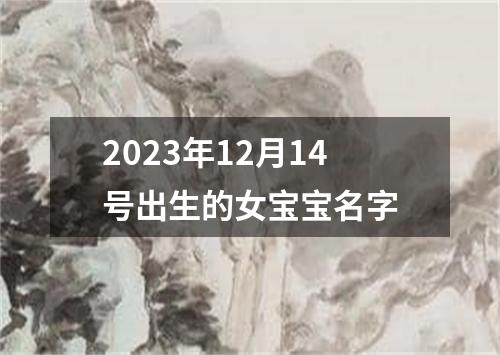 2023年12月14号出生的女宝宝名字