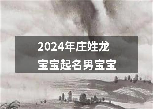 2024年庄姓龙宝宝起名男宝宝