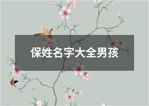 保姓名字大全男孩
