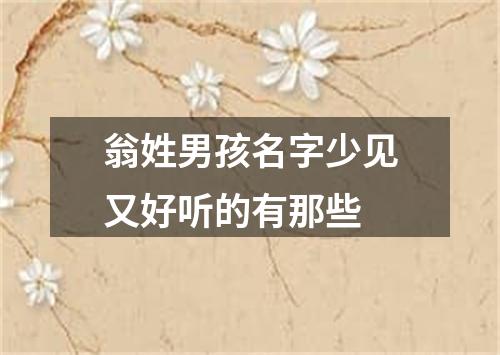 翁姓男孩名字少见又好听的有那些