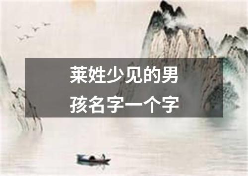 莱姓少见的男孩名字一个字