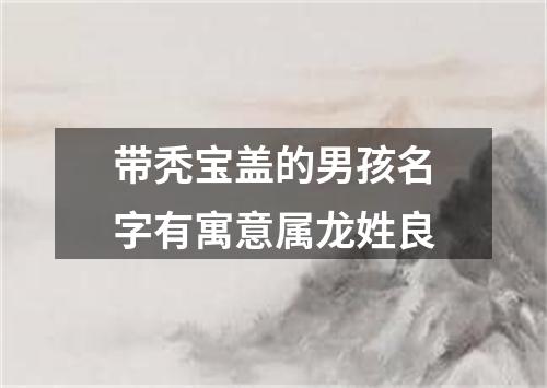 带秃宝盖的男孩名字有寓意属龙姓良