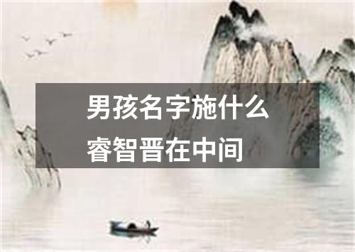 男孩名字施什么睿智晋在中间