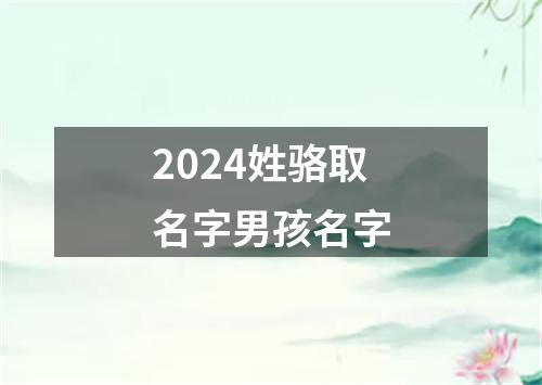 2024姓骆取名字男孩名字