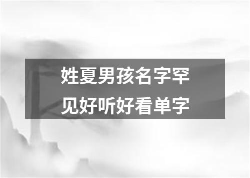 姓夏男孩名字罕见好听好看单字