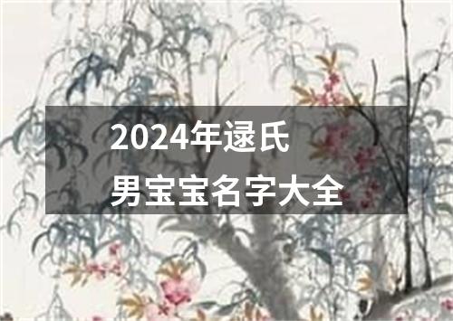 2024年逯氏男宝宝名字大全