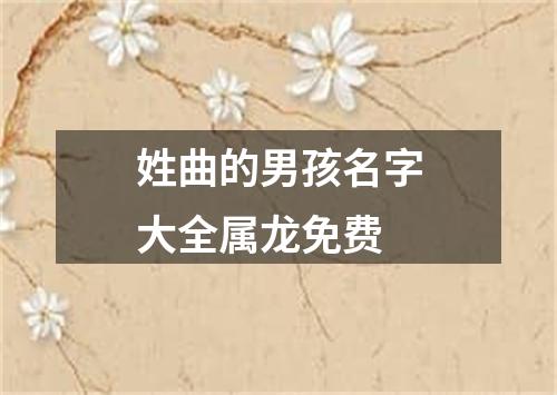 姓曲的男孩名字大全属龙免费