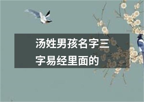 汤姓男孩名字三字易经里面的