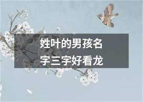 姓叶的男孩名字三字好看龙