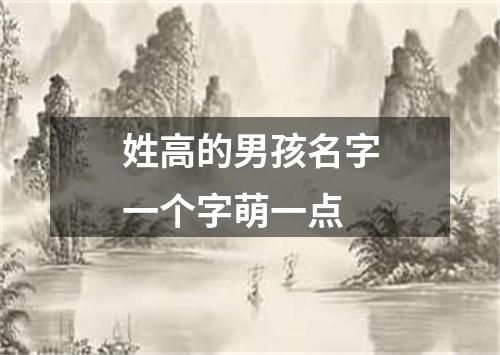 姓高的男孩名字一个字萌一点