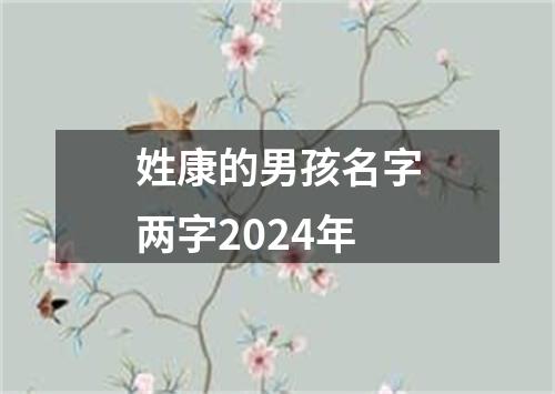 姓康的男孩名字两字2024年