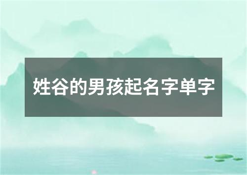 姓谷的男孩起名字单字