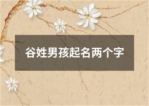 谷姓男孩起名两个字