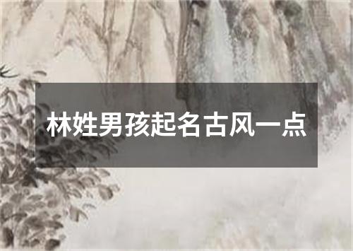 林姓男孩起名古风一点