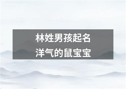 林姓男孩起名洋气的鼠宝宝