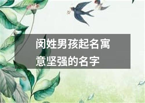 闵姓男孩起名寓意坚强的名字