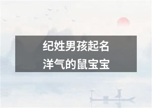 纪姓男孩起名洋气的鼠宝宝