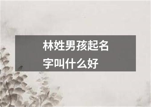 林姓男孩起名字叫什么好