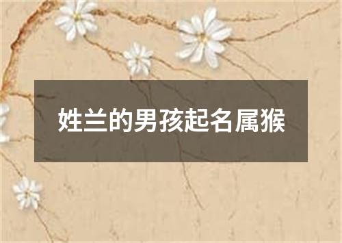 姓兰的男孩起名属猴