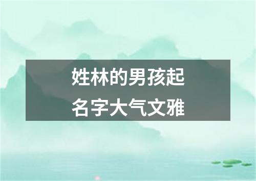 姓林的男孩起名字大气文雅