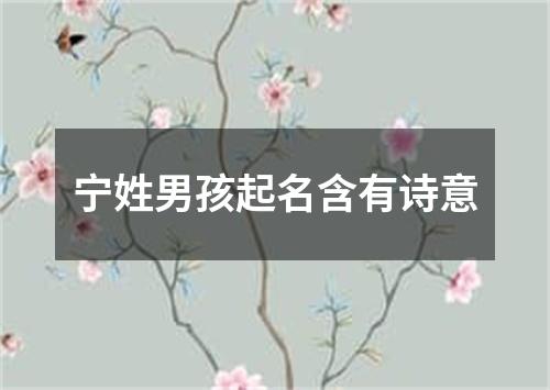 宁姓男孩起名含有诗意
