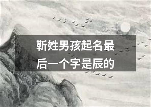 靳姓男孩起名最后一个字是辰的