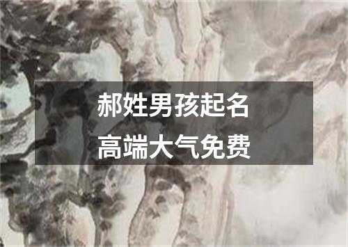 郝姓男孩起名高端大气免费