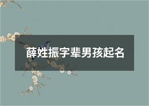 薛姓振字辈男孩起名
