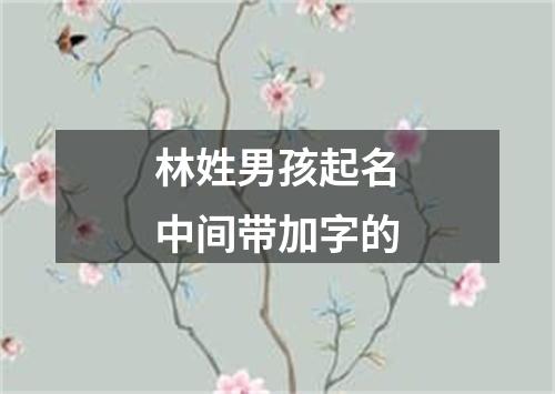 林姓男孩起名中间带加字的